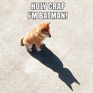 holy crap, i'm batman!